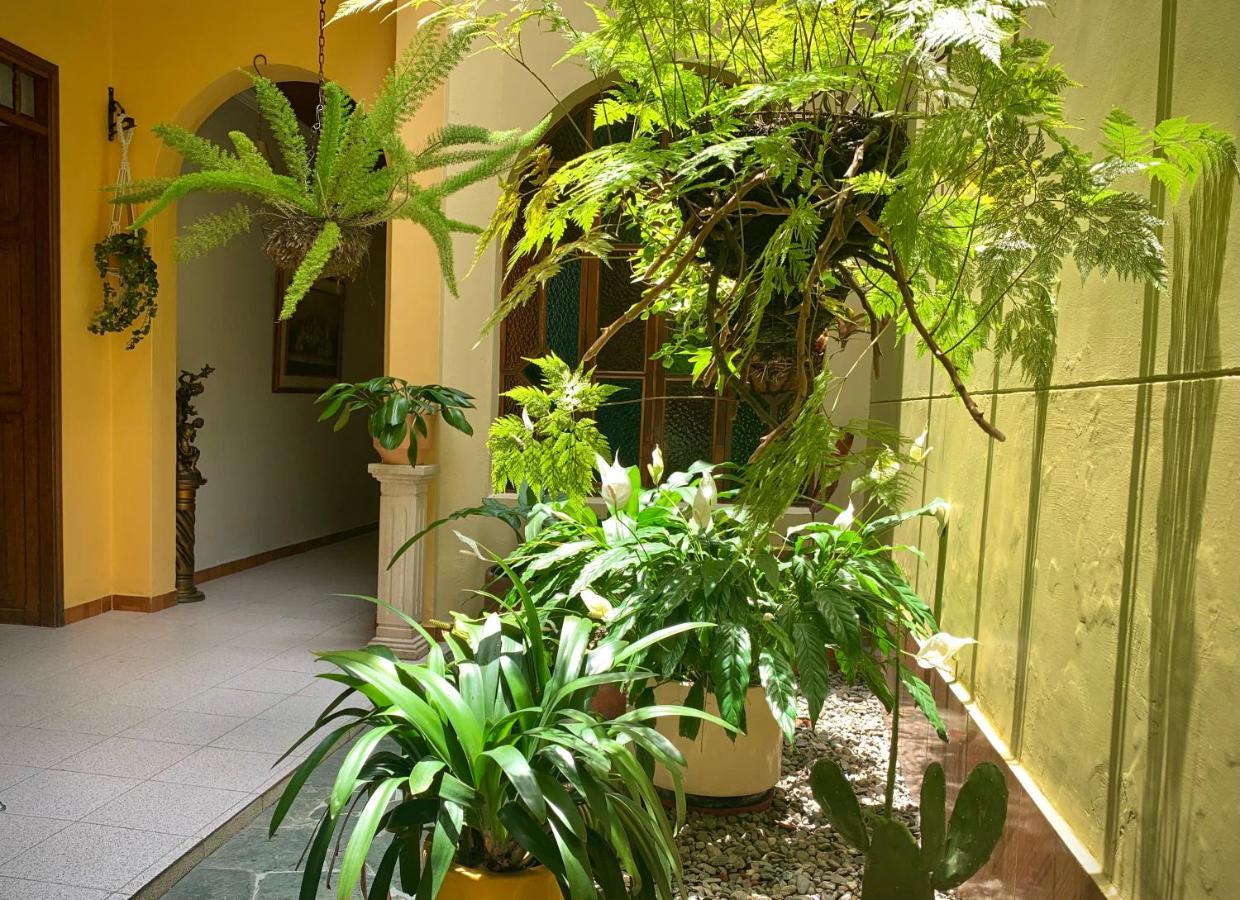 Casa Grande Apartman Medellín Kültér fotó