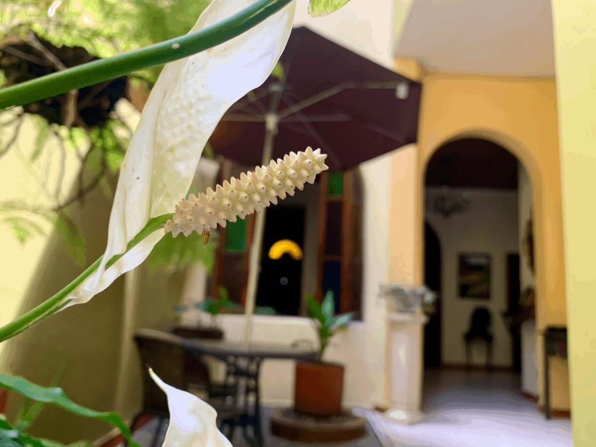 Casa Grande Apartman Medellín Kültér fotó