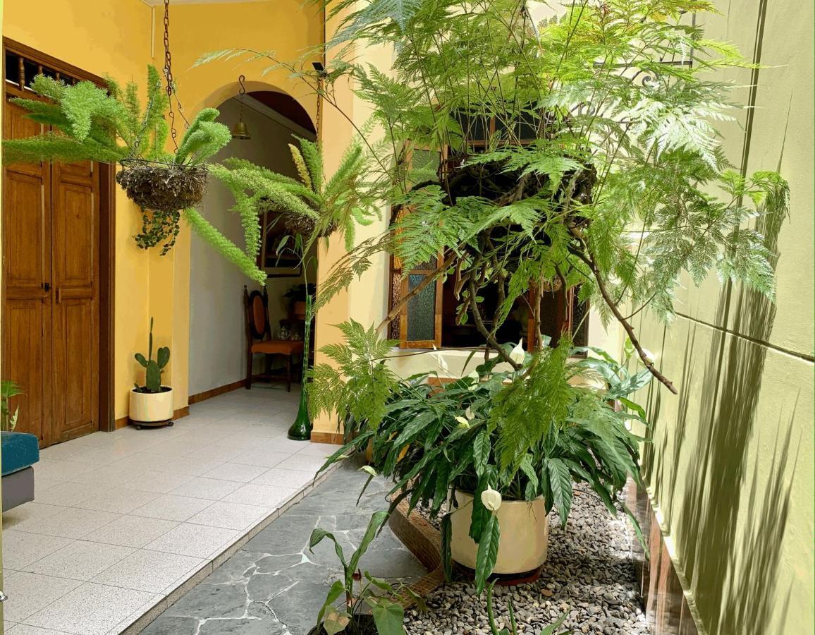 Casa Grande Apartman Medellín Kültér fotó